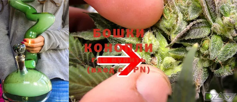 Конопля OG Kush  Десногорск 